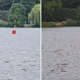 Smartphone-Test: Im direkten Vergleich des zehnfachen Zooms ist gut zu sehen, dass beim Hybrid-Ansatz das Samsung Galaxy Note 20 Ultra (links) mehr Details verloren gehen als beim optischen des P40 Pro (rechts).