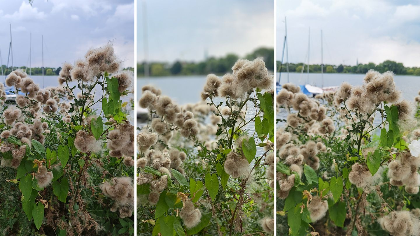 Smartphone-Test: Beim Porträtmodus schlägt das Galaxy Note 20 Ultra (links) das iPhone 11 Pro Max (Mitte) in Bezug klar bei der Darstellung der Pflanze im Vordergrund. Im Vergleich zum Huawei P40 Pro (rechts) ist zudem die Farbe des Himmels realistischer getroffen. Dafür ist der Unschärfeeffekt (Bokeh) aber im Vergleich am geringsten ausgeprägt. Smartphone-Test: Beim Porträtmodus schlägt das Galaxy Note 20 Ultra (links) das iPhone 11 Pro Max (Mitte) in Bezug klar bei der Darstellung der Pflanze im Vordergrund. Im Vergleich zum Huawei P40 Pro (rechts) ist zudem die Farbe des Himmels realistischer getroffen. Dafür ist der Unschärfeeffekt (Bokeh) aber im Vergleich am geringsten ausgeprägt.