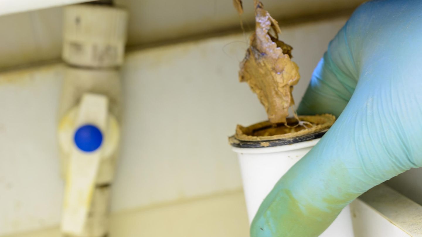 Klassiker: Zuerst bleiben Haare im Abfluss hängen, an ihnen bildet sich dann ein Fettpropfen.