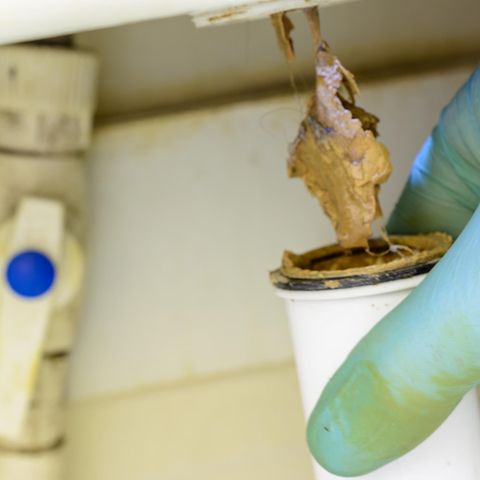 Klassiker: Zuerst bleiben Haare im Abfluss hängen, an ihnen bildet sich dann ein Fettpropfen.