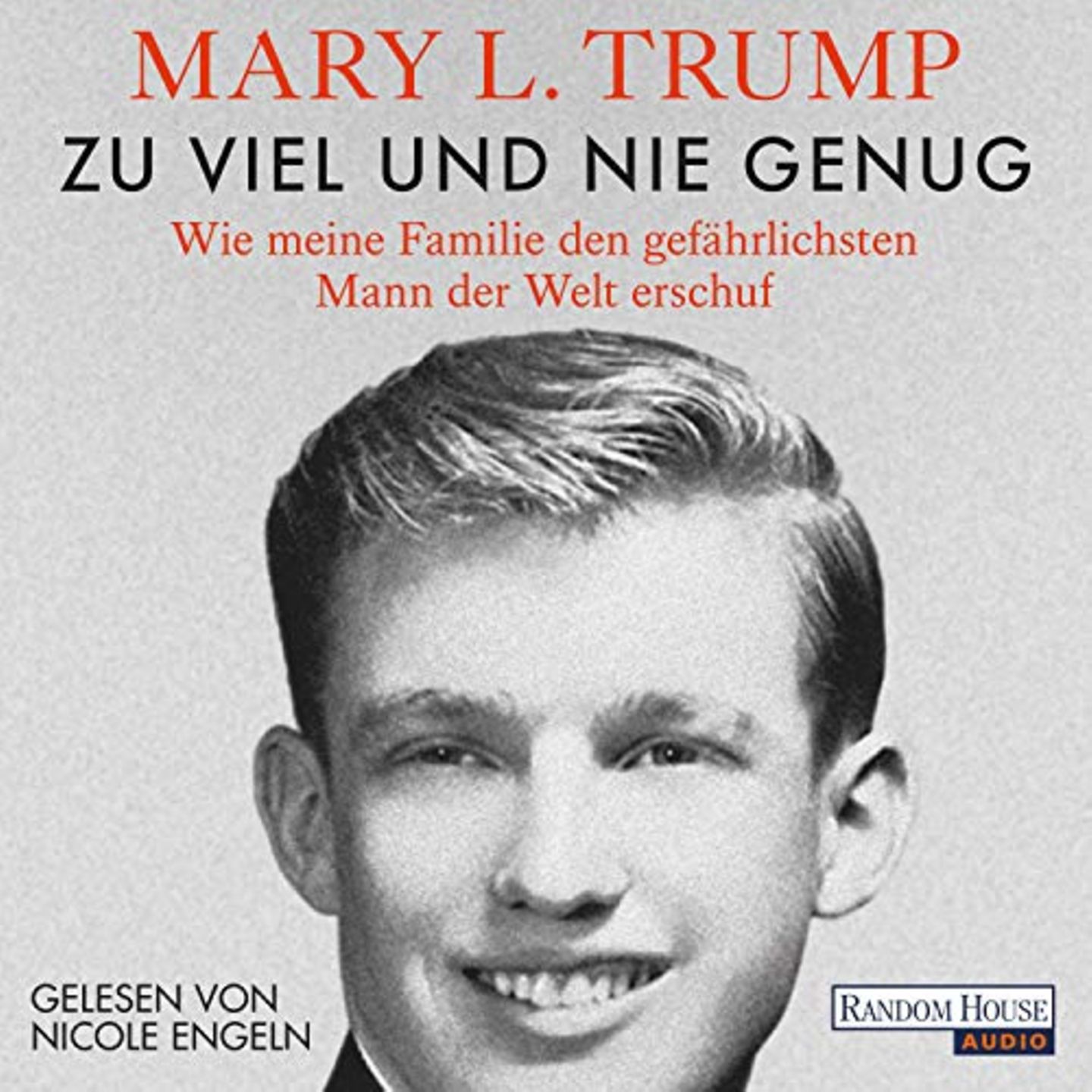 Cover Zu viel und nie genug Cover Zu viel und nie genug