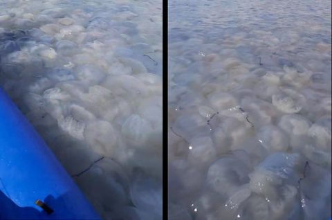 Die Kanufahrt einer ukrainischen Familie auf dem Asowschen Meer endet anders als erwartet.