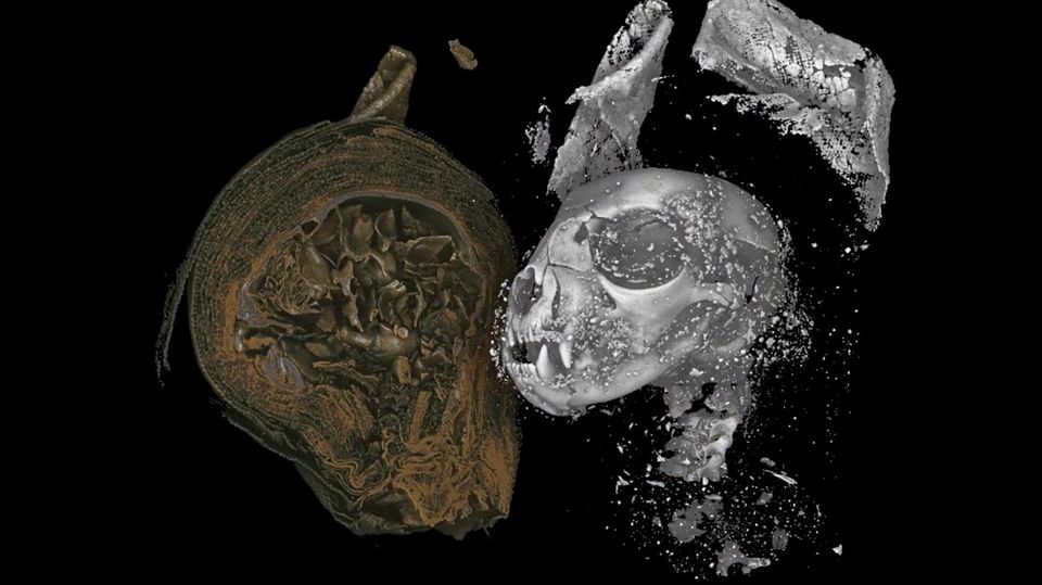 Ägypten: Archäologen graben 2000 Jahre alte Mumien mit goldenen Zungen aus Ägypten: Archäologen graben 2000 Jahre alte Mumien mit goldenen Zungen aus