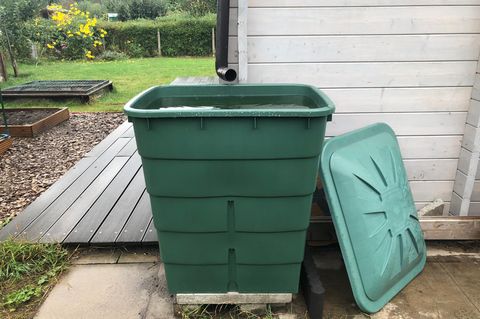 Regenwasser sammeln: Grüne Regentonne mit Deckel steht hinter einer Gartenlaube