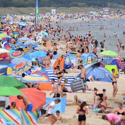 Am Ostseestrand vor der Seebrücke haben sich zahlreiche Badegäste am Strand niedergelassen