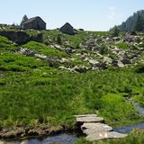 Nach knapp vier Stunden Auf und Ab auf dem Kammweg nach Westen lichtet sich der Wald auf der Alpe Ruscada