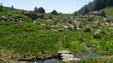 Nach knapp vier Stunden Auf und Ab auf dem Kammweg nach Westen lichtet sich der Wald auf der Alpe Ruscada