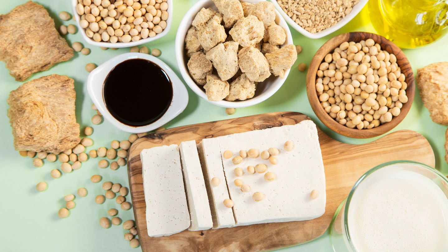 Fleischersatz-Produkte Fleischersatz-Produkte