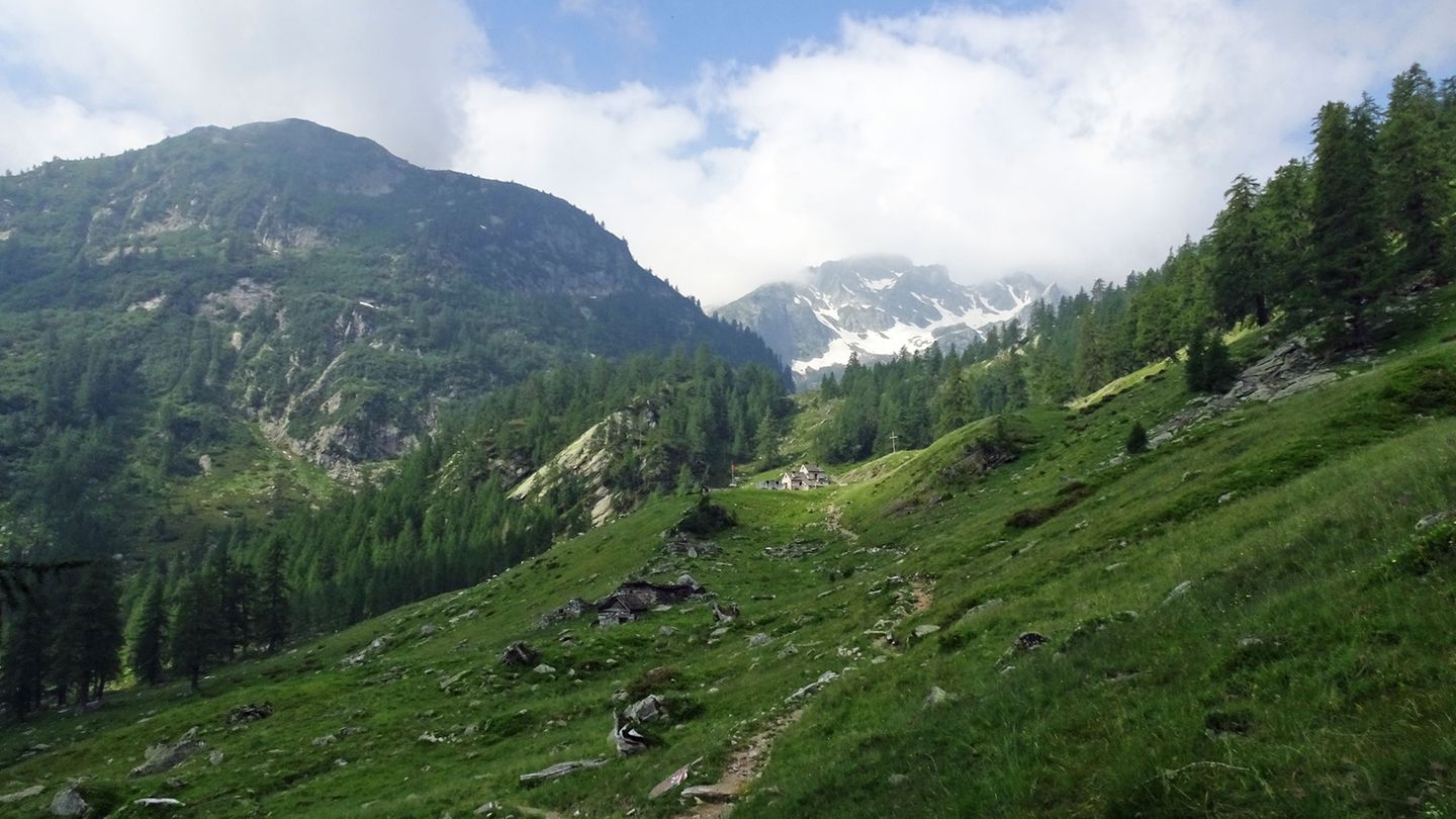 Rückblick: Der Pfad leitet zur unscheinbaren Alpe Sfille mit dem schneebedeckten Hängen des Pizzo dell'Alpe Gelato im Hintergrund.