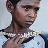 Rendy mit einem Haifischgebiss