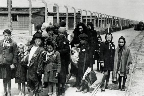 Holocaust: Die Geheimnisse der Frauen von Birkenau – eine Überlebende erzählt