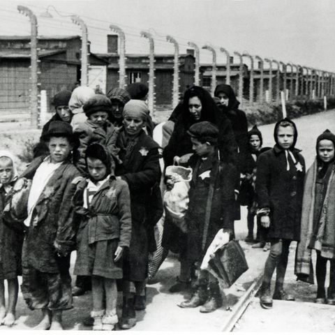 Holocaust: Die Geheimnisse der Frauen von Birkenau – eine Überlebende erzählt