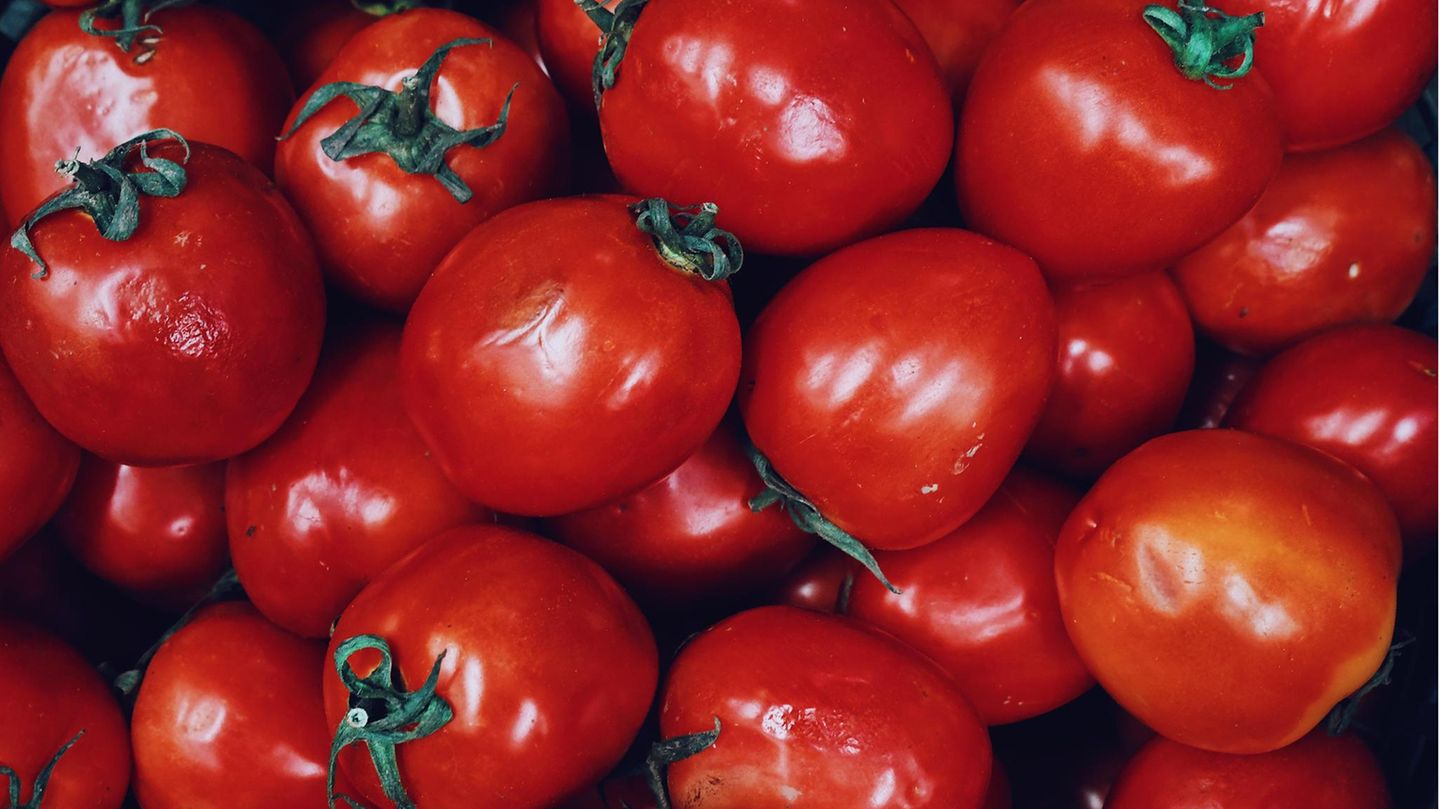 VOE STERN 37/2020 TITELGESCHICHTE - LECKER - WARUM PFLANZLICHES FLEISCH ENDLICH SCHMECKT UND WIE MENSCH UND TIER DAVON PROFITIEREN Full Frame of Tomato, Nuremberg City, Germany, Europe Tomaten