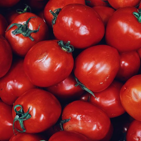 Tomaten