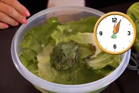 Mit diesen Tipps bleiben Lebensmittel wirklich knackig