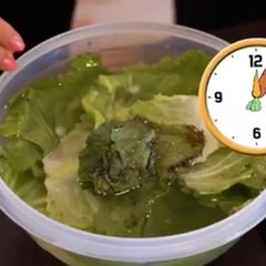 Mit diesen Tipps bleiben Lebensmittel wirklich knackig