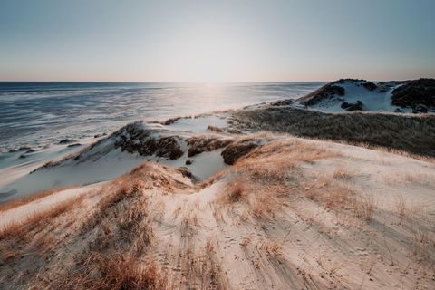 Atlantis der Nordsee: Doggerland war für die Menschen das Paradies der Steinzeit – bis ein Tsunami kam