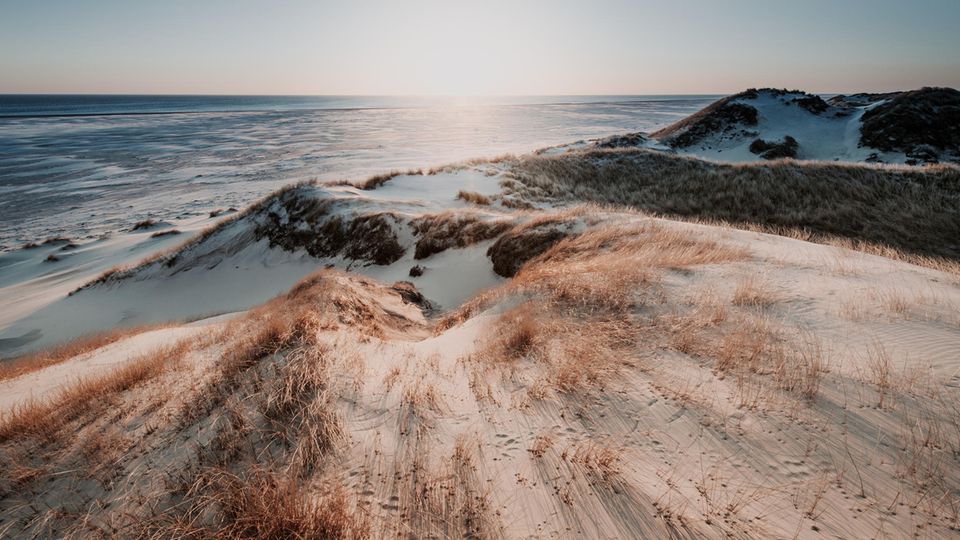 Atlantis der Nordsee: Doggerland war für die Menschen das Paradies der Steinzeit – bis ein Tsunami kam