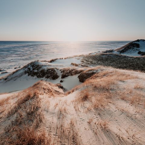 Atlantis der Nordsee: Doggerland war für die Menschen das Paradies der Steinzeit – bis ein Tsunami kam