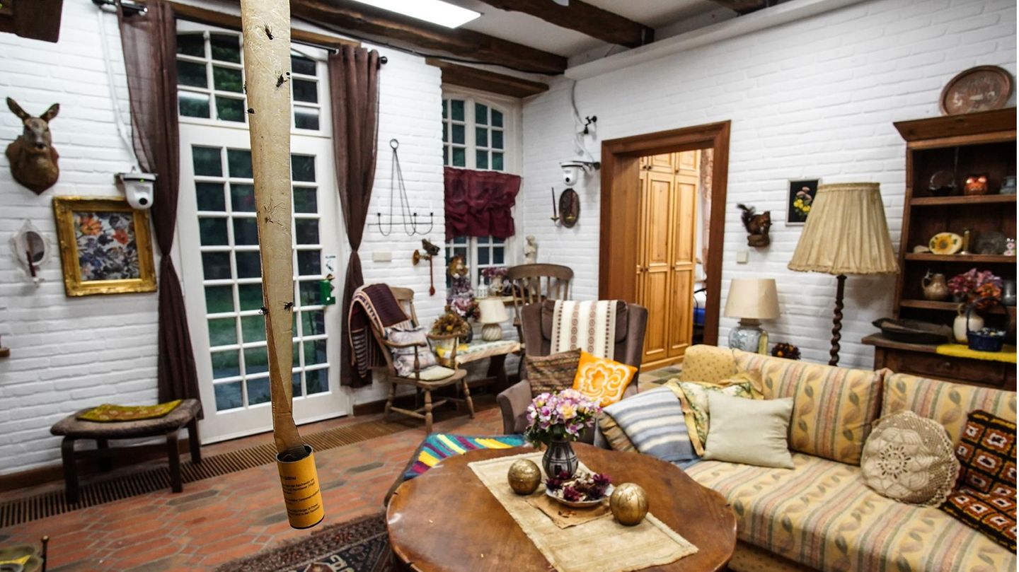 "Das Sommerhaus der Stars"