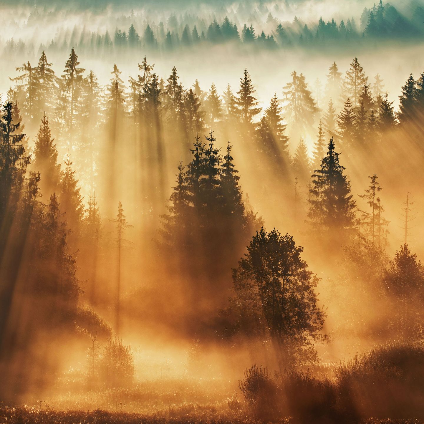 Ein Tagesanbruch mit solch einem Lichtspektakel ist auch im Bayerischen Wald ungewöhnlich