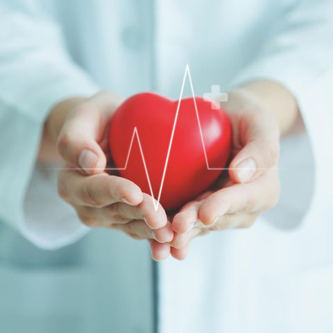 Gesundheit: Das Herz: So hilft die Medizin, unseren wichtigsten Muskel zu schützen. Und das können wir selbst tun