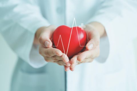 Gesundheit: Das Herz: So hilft die Medizin, unseren wichtigsten Muskel zu schützen. Und das können wir selbst tun