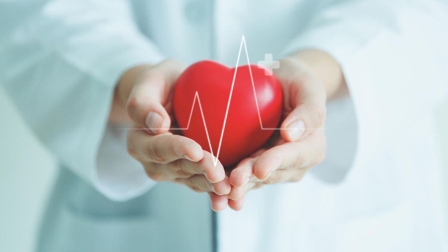 Gesundheit: Das Herz: So hilft die Medizin, unseren wichtigsten Muskel zu schützen. Und das können wir selbst tun
