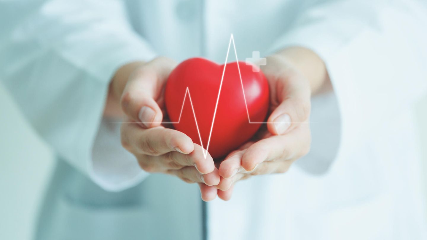 Gesundheit: Das Herz: So hilft die Medizin, unseren wichtigsten Muskel zu schützen. Und das können wir selbst tun Gesundheit: Das Herz: So hilft die Medizin, unseren wichtigsten Muskel zu schützen. Und das können wir selbst tun