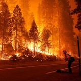 Waldbrände
