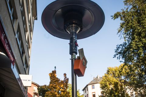 Heizpilz