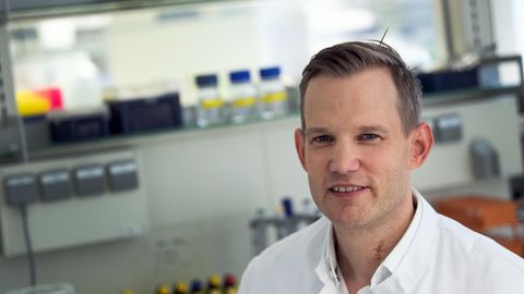 Coronavirus in Deutschland: Hendrik Streeck will Strategiewechsel – das rät der Virologe bei den jetzt steigenden Fallzahlen