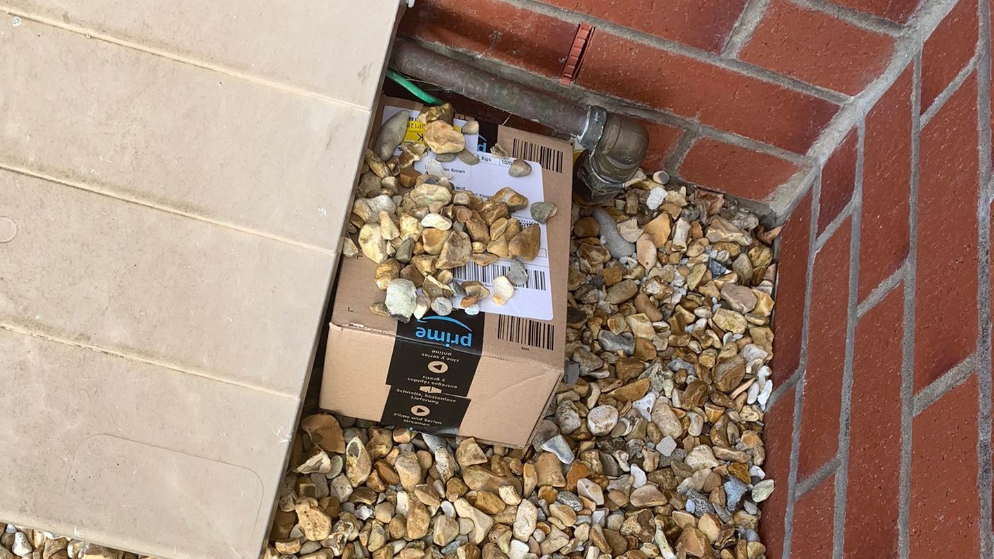 Gut gemeint: Amazon-Bote versteckt Paket – das Ergebnis wird zur Lachnummer im Netz