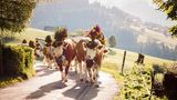 Schweiz: Angesichts steigender Fallzahlen hat die Schweiz ihre Einreise-Bestimmungen neu justiert. Nun müssen Einreisende aus weltweit 50 Ländern und Regionen in eine zehntägige Quarantäne. Dazu gehört seit Montag nun auch das österreichische Bundesland Wien. Mit einem negativen PCR-Test kann die Quarantänepflicht nicht aufgehoben werden. Wer aus Deutschland kommt, ist von den Einschränkungen bisher nicht betroffen.  Sollten die Fallzahlen weiter steigen, können darüber hinaus Menschen aus den Regionen entlang der Schweizer Grenze ausnahmsweise von der Quarantänepflicht ausgenommen werden. In der Schweiz selbst klettert die Zahl der Corona-Infektionen seit ein paar Wochen wieder. Immer mehr Städte führen eine Maskenpflicht ein.
