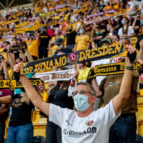 Fans in Dresden