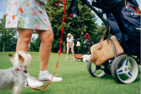 Immer mehr Golfplätze erlauben das Spielen mit Hundebegleitung