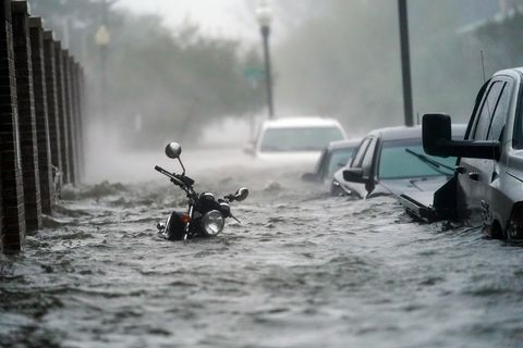 USA, Pensacola: Fahrzeuge stehen auf einer überfluteten Straße