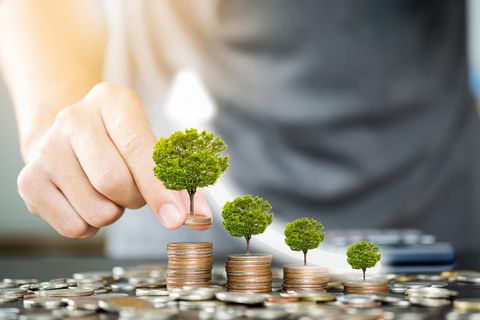 Nachhaltige Investments sind in Mode