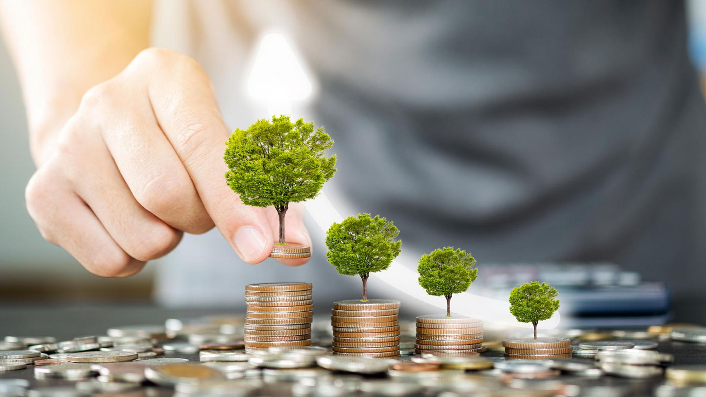 Nachhaltige Investments sind in Mode