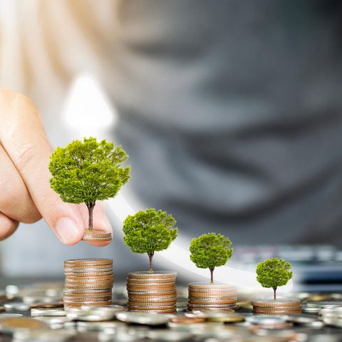 Nachhaltige Investments sind in Mode
