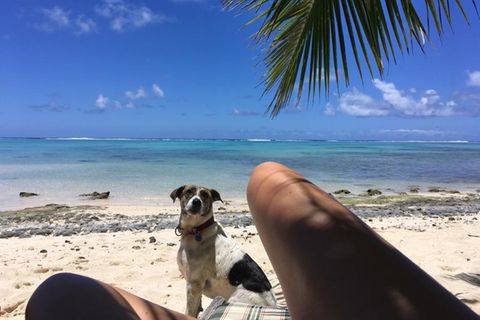 Strand von Rarotonga