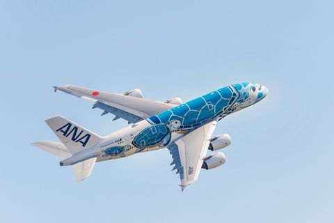 Der Airbus A380 verkehrt bei All Nippon Airways eigentlich zwischen Japan und Honolulu. Jetzt stehen beide Exemplare am Boden. Doch damit die Jets mit der aufgemalten hawaiianischen Meeresschildkröte (Honu) nicht "einrosten", unternehmen sie auch Testflüge mit zahlenden Passagieren, um fit für ihren Einsatz im Linienbetrieb zu bleiben.