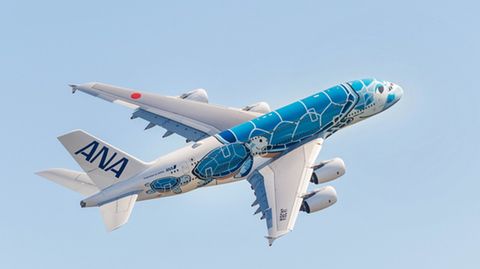 Der Airbus A380 verkehrt bei All Nippon Airways eigentlich zwischen Japan und Honolulu. Jetzt stehen beide Exemplare am Boden. Doch damit die Jets mit der aufgemalten hawaiianischen Meeresschildkröte (Honu) nicht "einrosten", unternehmen sie auch Testflüge mit zahlenden Passagieren, um fit für ihren Einsatz im Linienbetrieb zu bleiben.
