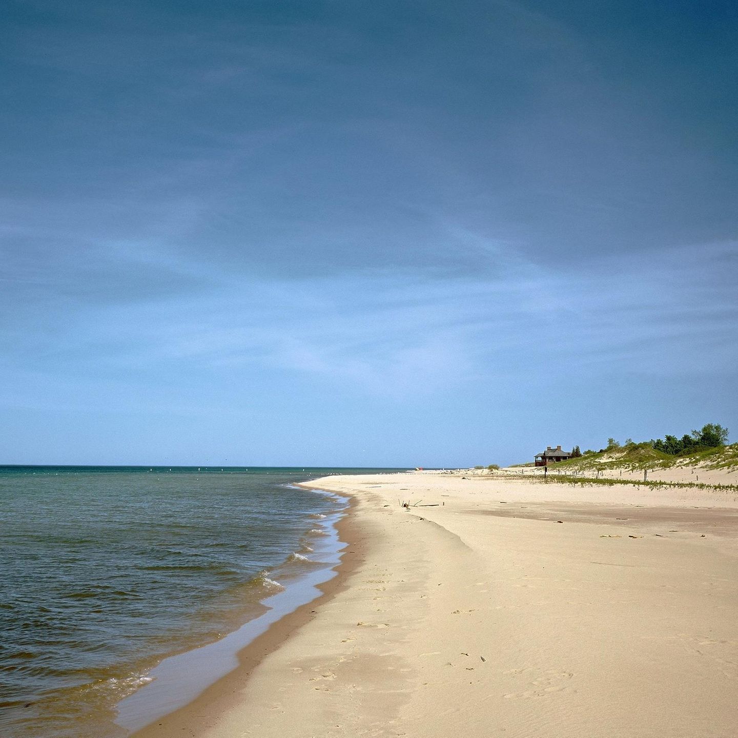 Gruselige Entdeckung In Den Usa Mann Findet Ganzes Gehirn Am Strand Stern De