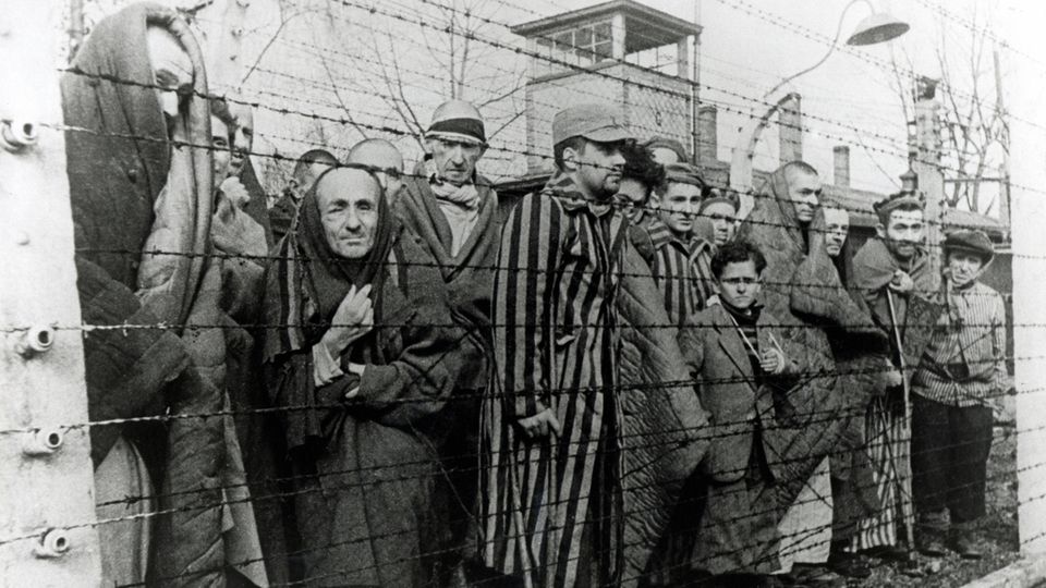 Familientrauma: Die Mutter überlebte Auschwitz, weil sie Cello spielte – ihre Tochter ging an dem Trauma fast zugrunde