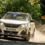 Der elektrische Allradantrieb ist bei beiden identisch