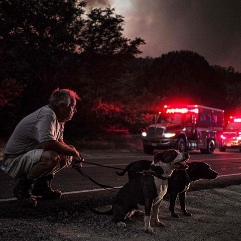 Feuersbrunst in Kalifornien: Armageddon vor der Haustür - wenn die Waldbrände von L.A. in Nachbars Garten lodern
