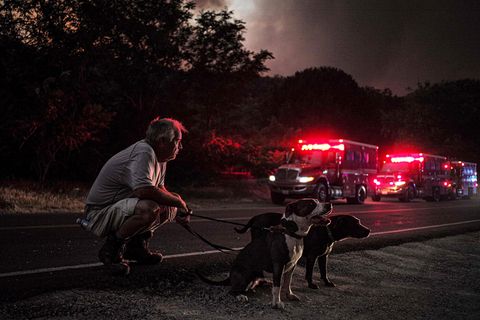 Feuersbrunst in Kalifornien: Armageddon vor der Haustür - wenn die Waldbrände von L.A. in Nachbars Garten lodern