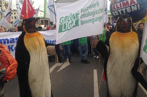 Zwei als Pinguine verkleidete Menschen auf einer Demo