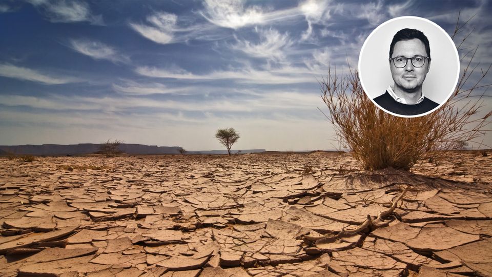 Ach, Mensch: Die Hütte brennt! Um den Klimawandel zu stoppen, braucht es systemische Veränderungen